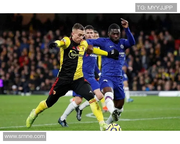 尼斯积分榜最新动态分析及未来比赛展望